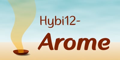 Font visual image of Hybi12 Arome