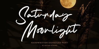 Font visual image of Saturday Moonlight
