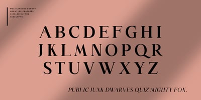 Font visual image of Along Serif BSC
