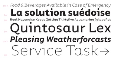 Font visual image of Ipsum Semi