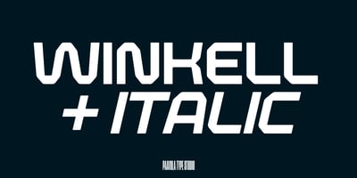 Font visual image of Winkell