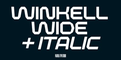 Font visual image of Winkell
