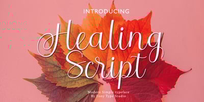 Font visual image of Healing Script
