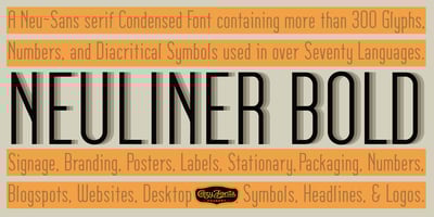 Font visual image of Neuliner