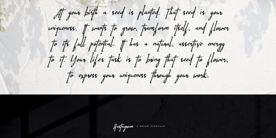 Font visual image of Hastagram