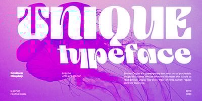 Font visual image of Emiken Display