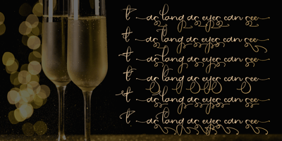 Font visual image of Party Lover