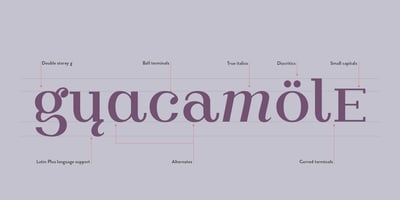 Font visual image of Apium