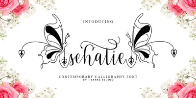 Font visual image of Sehatie