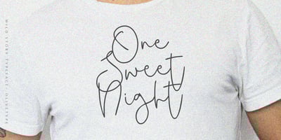 Font visual image of Wild Story