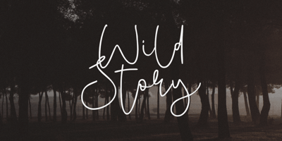 Font visual image of Wild Story