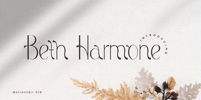 Font visual image of Beth Harmone