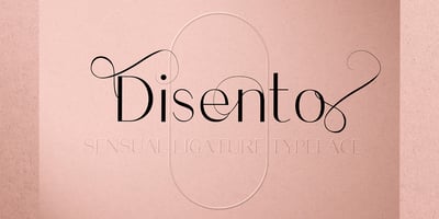 Font visual image of Disento