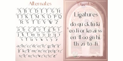 Font visual image of Disento