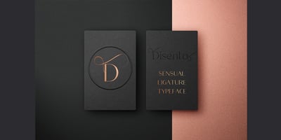 Font visual image of Disento