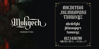 Font visual image of Mokgech