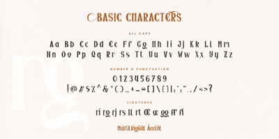 Font visual image of Seriffity