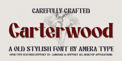 font