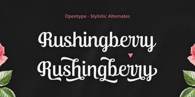Font visual image of Ralsteda Script