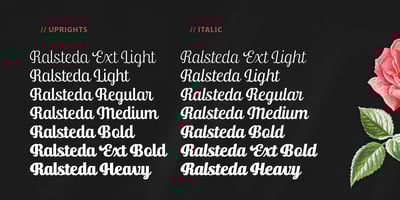 Font visual image of Ralsteda Script