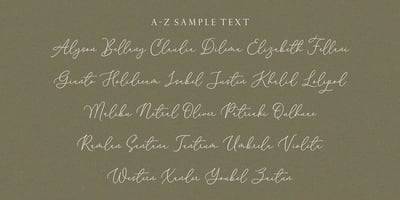 Font visual image of Melody Sunday