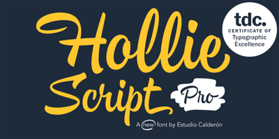 Font visual image of Hollie Script Pro