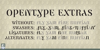 Font visual image of Ambicase&trade; Modern