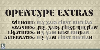 Font visual image of Ambicase&trade; Fatface