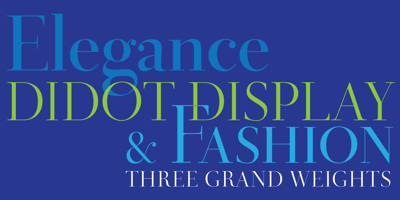 Font visual image of Didot Display&trade;
