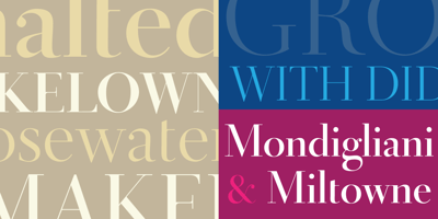 Font visual image of Didot Display&trade;