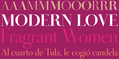 Font visual image of Didot Display&trade;