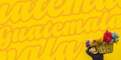 Font visual image of Vivian Script