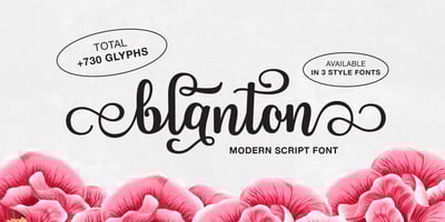 Font visual image of Blanton Script