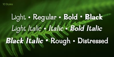 Font visual image of Kia Ora