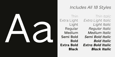 Font visual image of Dikta Neue