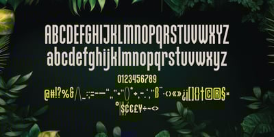 font