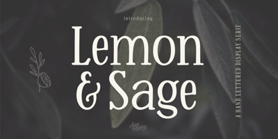 Font visual image of Lemon And Sage