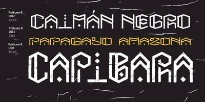 Font visual image of Paihuen Rough
