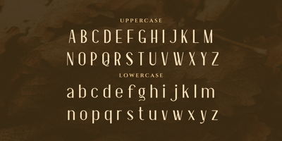 font