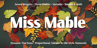 Font visual image of Miss Mable