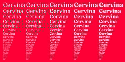 Font visual image of Cervina
