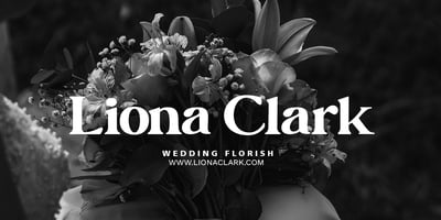 Font visual image of New American Vintage