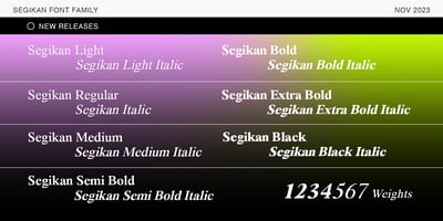Font visual image of Segikan