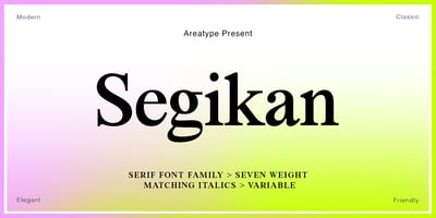 Font visual image of Segikan