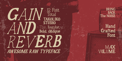Font visual image of Gain And Reverb