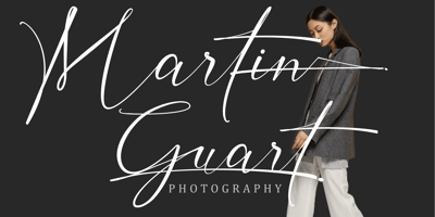 Font visual image of Inter Signature