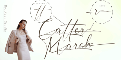 Font visual image of Inter Signature