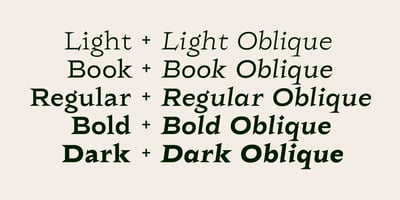 Font visual image of Rokha