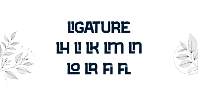 Font visual image of Sciuro