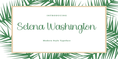 Font visual image of Selena Washington